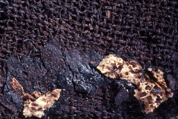 Picture 10 of The secret in mummy cloths of ancient Egyptians