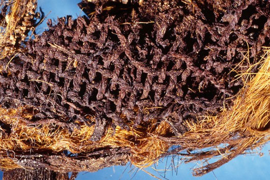 Picture 11 of The secret in mummy cloths of ancient Egyptians