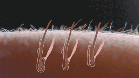 Picture 4 of The secret of a single part of the body never