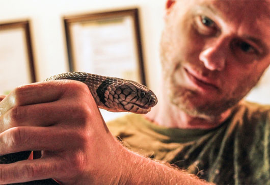 Picture 1 of The secret of 'immune' people with poisonous snake venom
