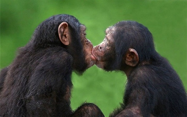 Picture 4 of The secret of kiss