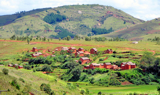 Picture 4 of The secret of origin discovered the island of Madagascar was revealed