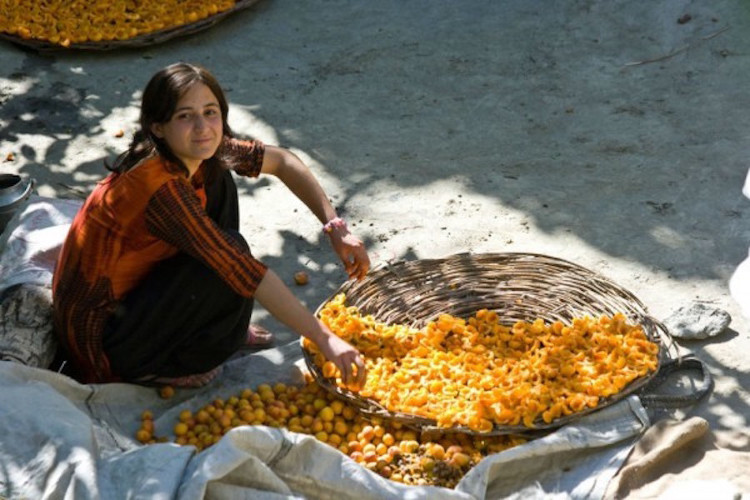 Picture 7 of The secret of the land where women outside 60 still give birth