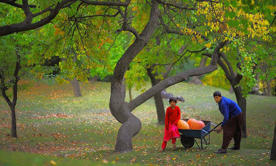 Picture 9 of The secret of the land where women outside 60 still give birth