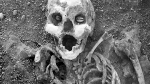 Picture 2 of The secret of the remains of 12,000 years old