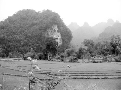 Picture 3 of The secret of the remains of 12,000 years old