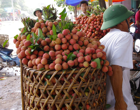 Picture 1 of The secret to buying delicious lychee
