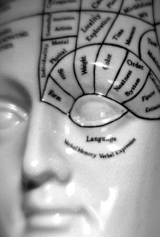 Picture 1 of The secret to having many friends lies in the frontal brain region