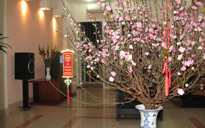 Picture 5 of The secret to keeping the peach blossoms long during Tet