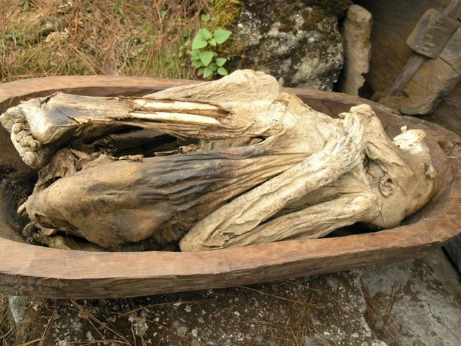 Picture 9 of The secret to mummification is unique in the Philippines