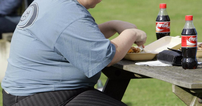 Picture 1 of The secret to reducing sugar levels in freshwater can make 1 million people not obese