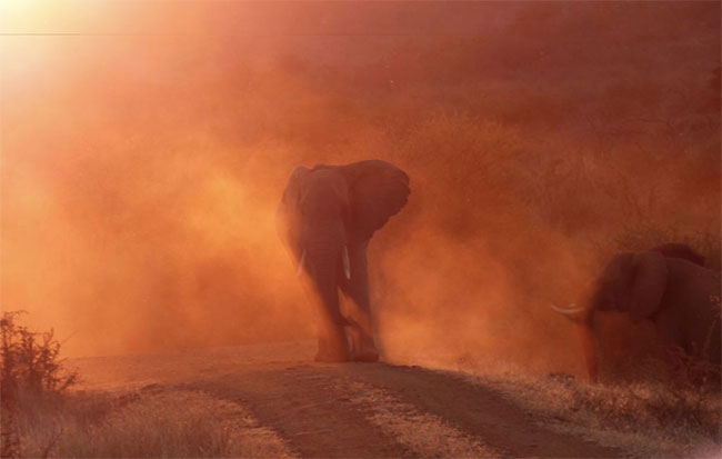 Picture 10 of The series makes you wonder at the breathtaking beauty of nature
