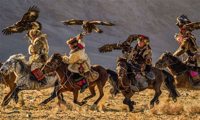 Picture 11 of The series makes you wonder at the breathtaking beauty of nature
