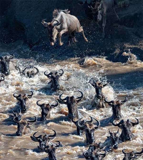 Picture 12 of The series makes you wonder at the breathtaking beauty of nature