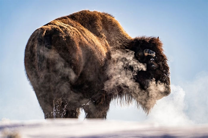 Picture 13 of The series makes you wonder at the breathtaking beauty of nature