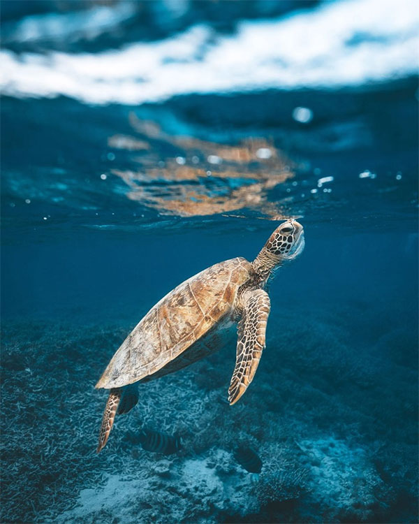 Picture 14 of The series makes you wonder at the breathtaking beauty of nature