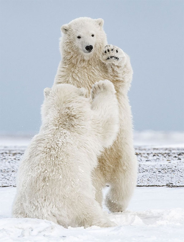 Picture 5 of The series makes you wonder at the breathtaking beauty of nature