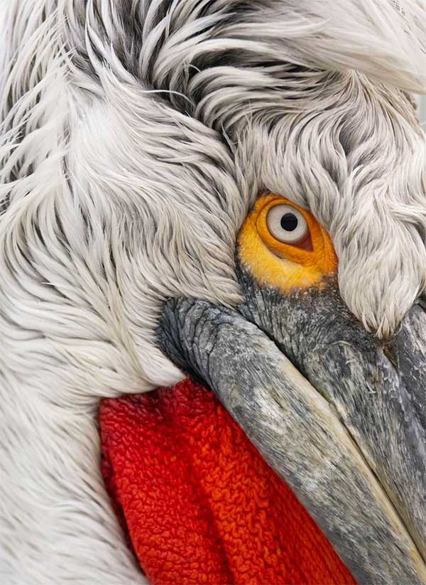 Picture 6 of The series makes you wonder at the breathtaking beauty of nature