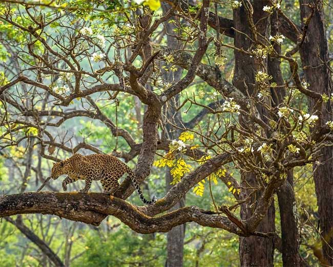 Picture 9 of The series makes you wonder at the breathtaking beauty of nature