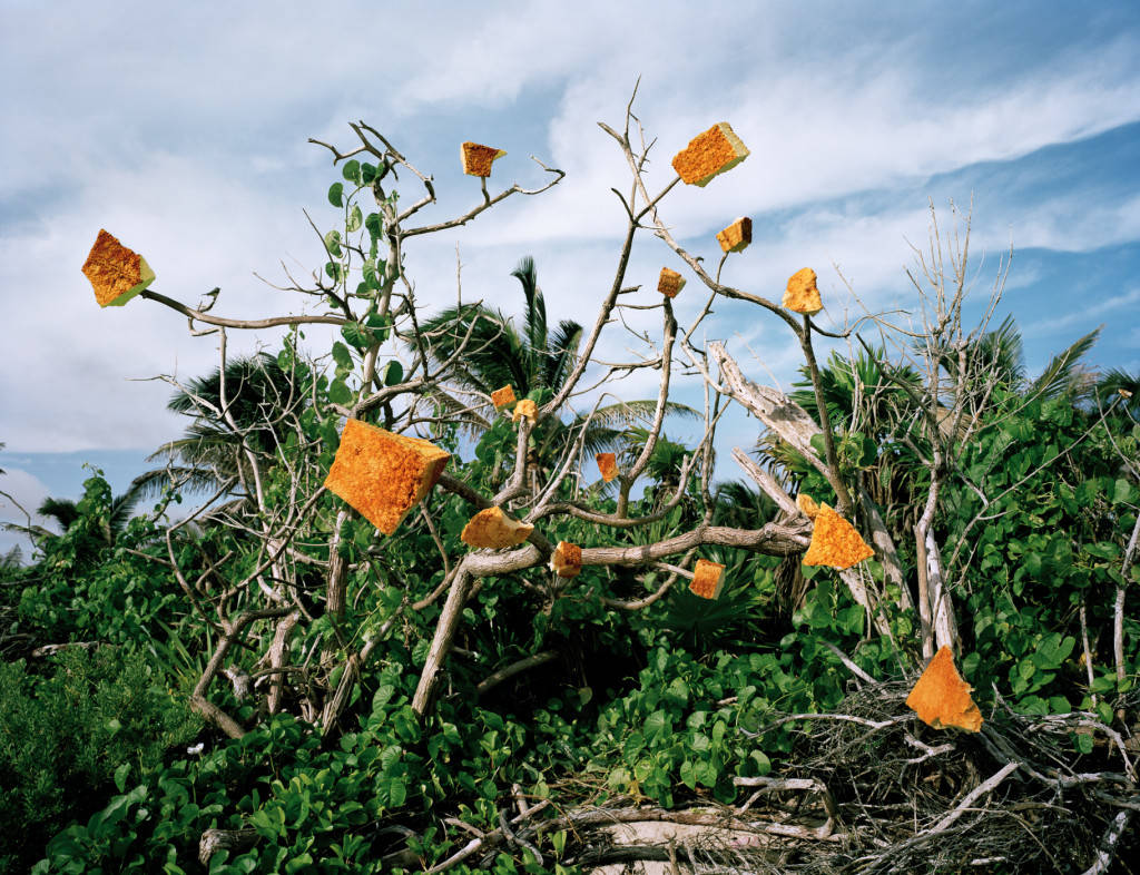 Picture 11 of The set of images of the earth-covered garbage awakening million hearts