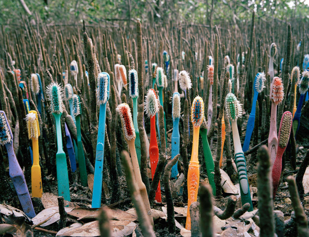 Picture 2 of The set of images of the earth-covered garbage awakening million hearts