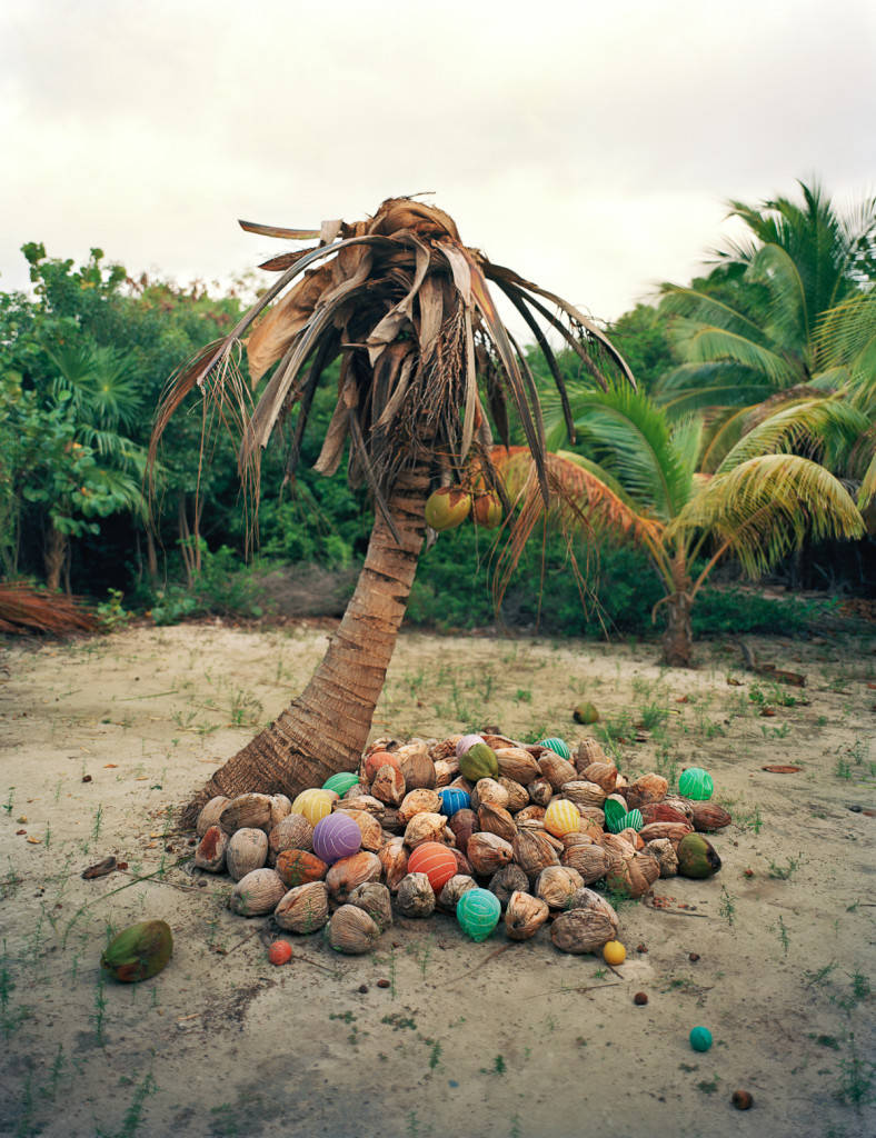 Picture 3 of The set of images of the earth-covered garbage awakening million hearts