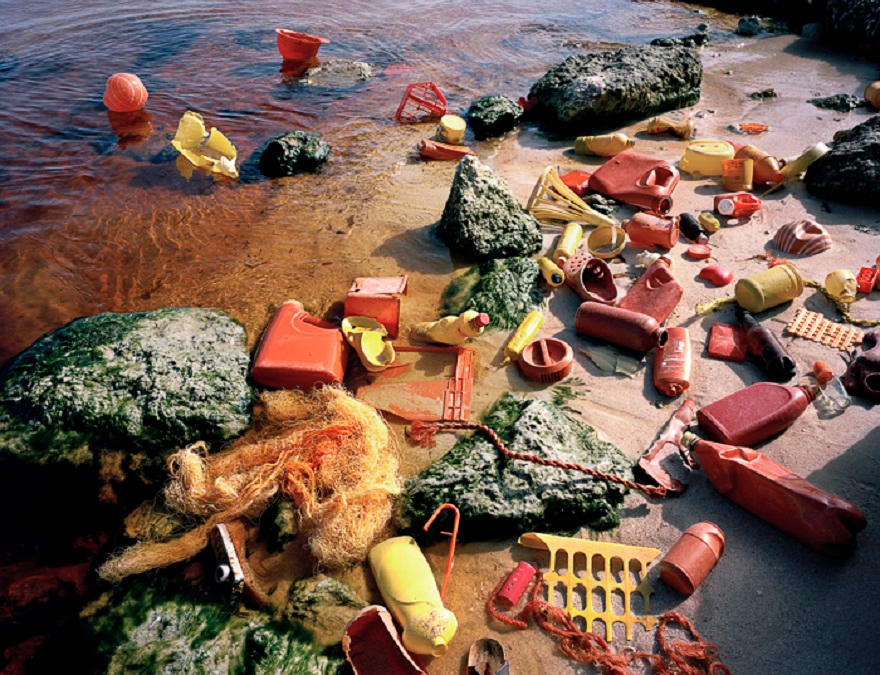 Picture 8 of The set of images of the earth-covered garbage awakening million hearts