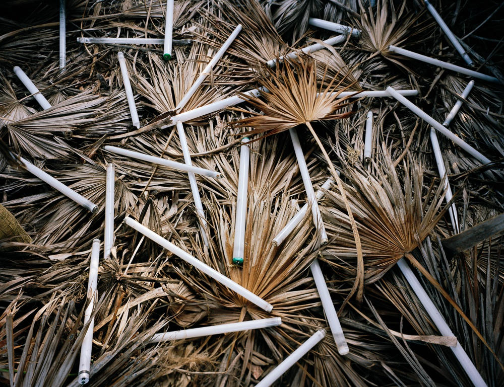 Picture 9 of The set of images of the earth-covered garbage awakening million hearts