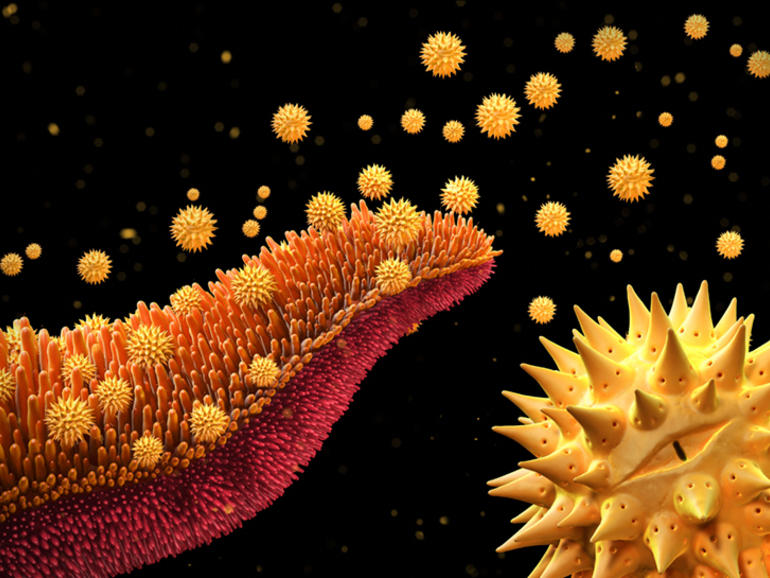 Picture 4 of The shocking images of medical science achievements in 2015