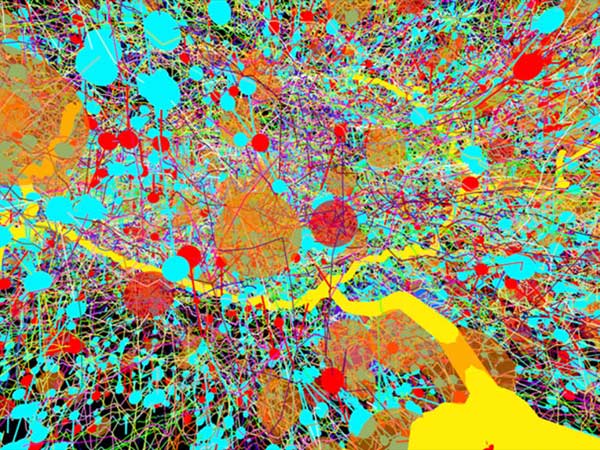 Picture 6 of The shocking images of medical science achievements in 2015