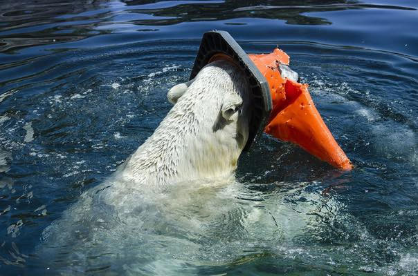 Picture 8 of The shocking images of the consequences of plastic waste, environmental pollution with the natural world