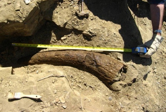 Picture 6 of The shocking mysteries make scientists headaches