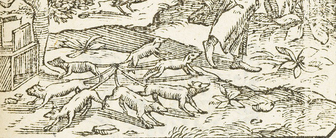 Picture 2 of The six squirrels were tied together, identical to the Mouse King in human history