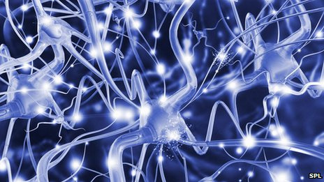 Picture 1 of The skin can help restore a patient with multiple sclerosis