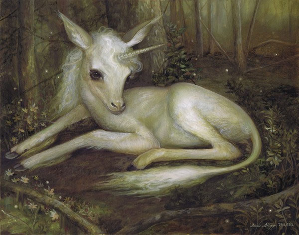 Picture 4 of The skull of the unicorn is real on Earth