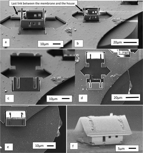 Picture 1 of The smallest house in the world is only observed with a microscope