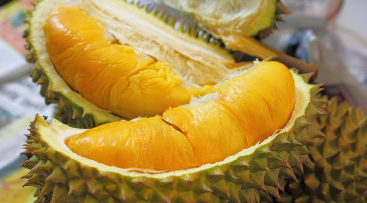 Picture 3 of The smell of durian is really: the smell of socks after gym, the smell of garbage and rotting meat
