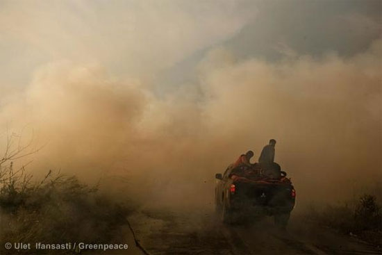 Picture 1 of The smoke from burning forests in Sumatra threatens Malaysia