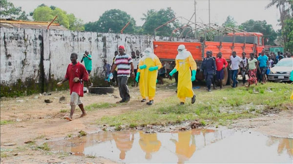 Picture 1 of The source of spreading Ebola virus in Liberia