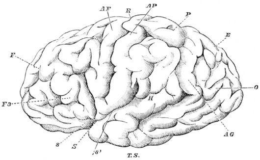 Picture 1 of The Soviet Union spent $ 1 billion on testing human brain control