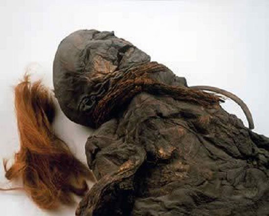 Picture 1 of The spotless beauty of swamp mummies