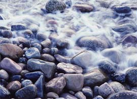 Picture 1 of The stone also knows how to breathe and walk