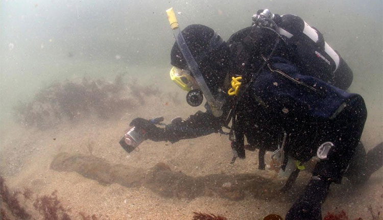 Picture 2 of The storm revealed the most valuable 300-year-old wreck in England
