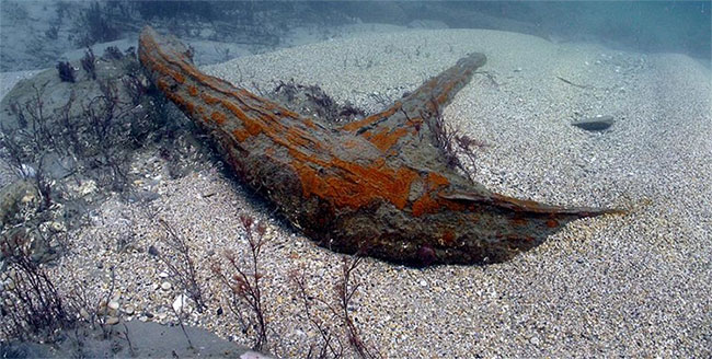 Picture 5 of The storm revealed the most valuable 300-year-old wreck in England