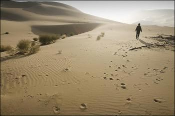 Picture 2 of The story of an old town is sinking in the sand