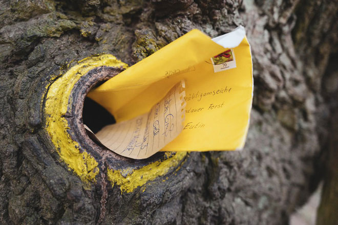 Picture 4 of The story of ancient oak 'matchmaking' for 100 lovers but is always lonely