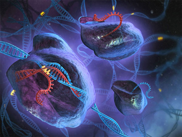 Picture 4 of The story of CRISPR: From bacteria to the great innovation of the 21st century