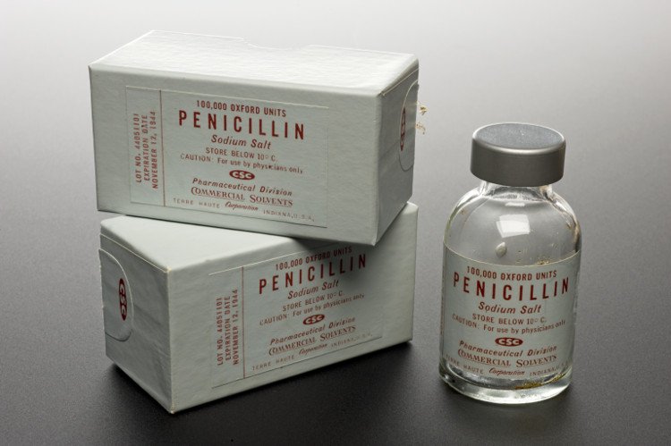 Picture 2 of The story of penicillin