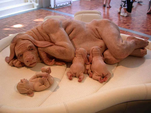 Picture 3 of The story of the hybrid animal