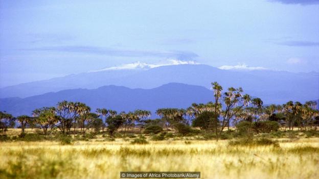 Picture 8 of The story of the lioness Elsa and the struggle to prevent wildlife hunters